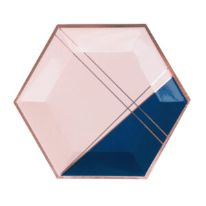 Erika - Navy & Pink Large Paper Plates