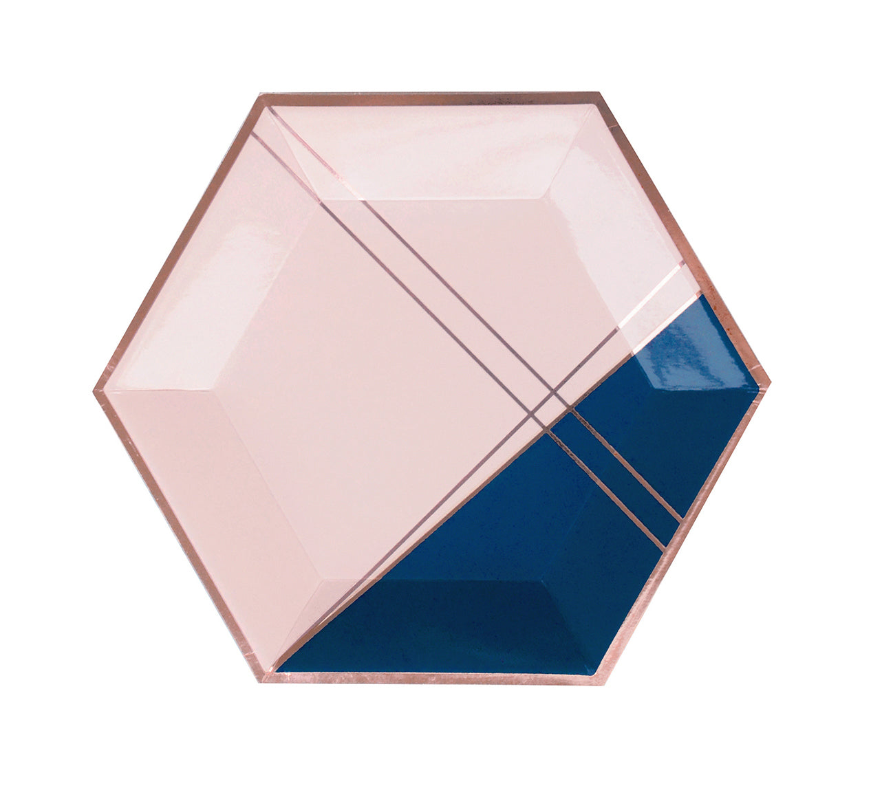 Erika - Navy & Pink Large Paper Plates