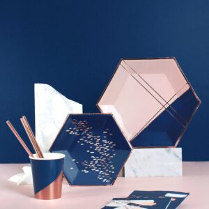 Erika - Navy & Pink Large Paper Plates