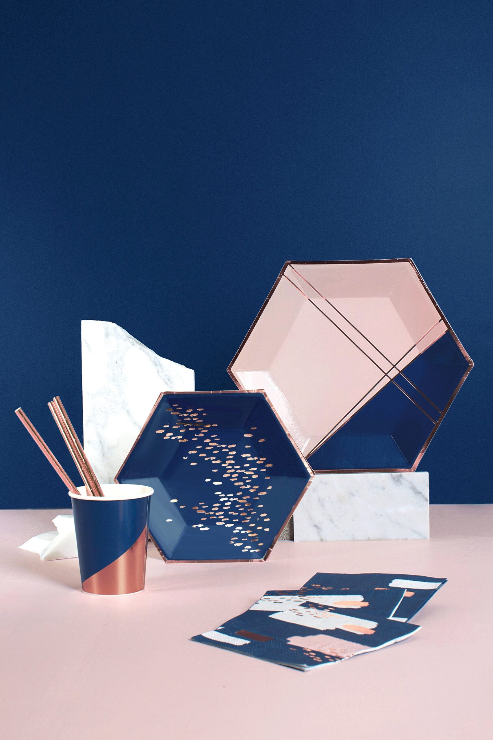 Erika - Navy & Pink Large Paper Plates